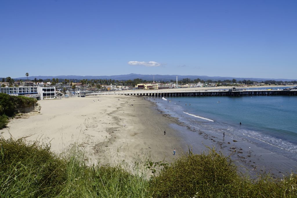 Virtual Junior Lifeguard program set for Santa Cruz Santa Cruz