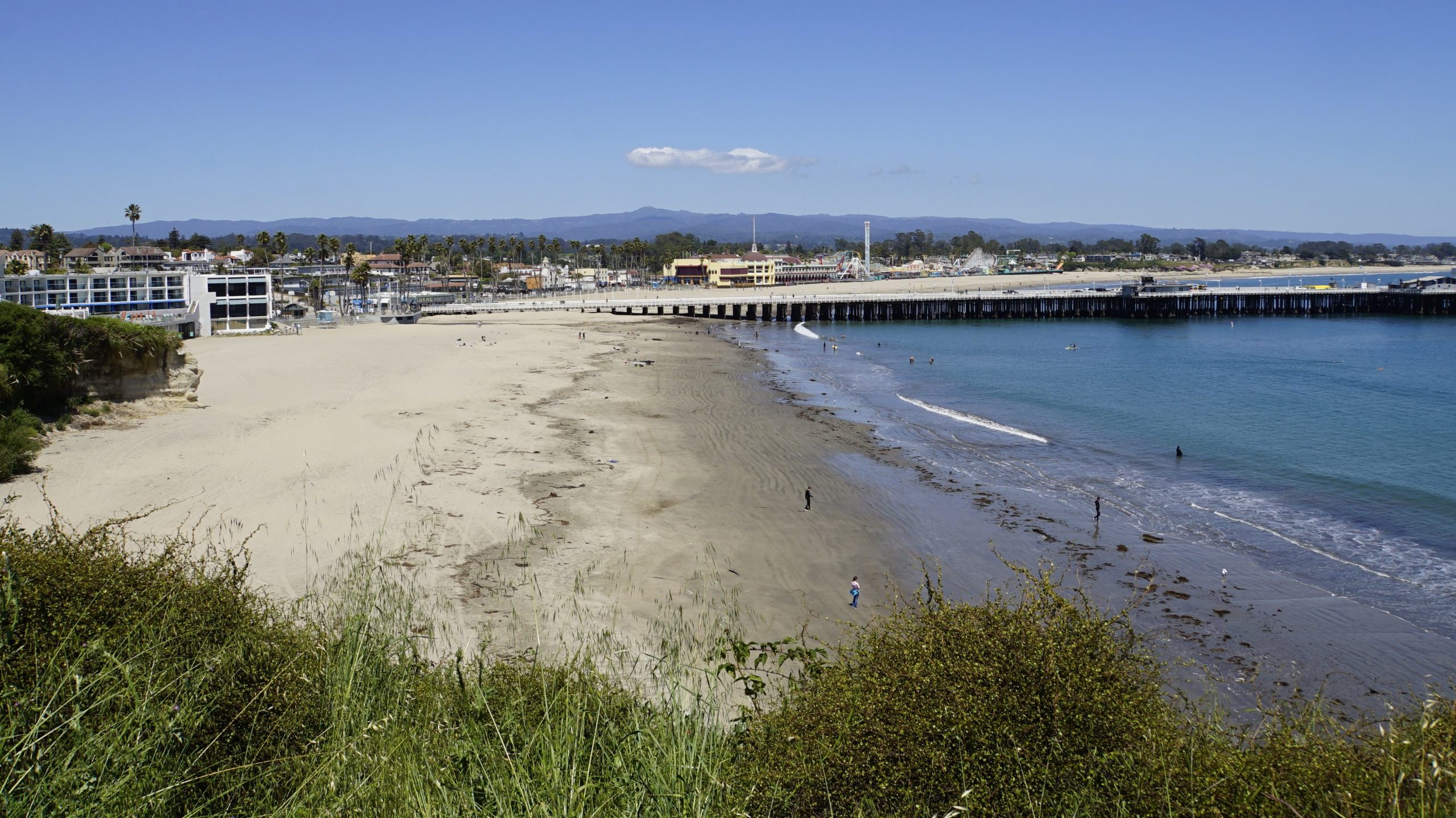 Virtual Junior Lifeguard program set for Santa Cruz Santa Cruz