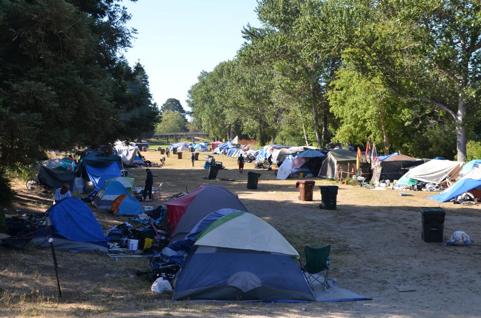 Podcast: How has COVID-19 hurt Santa Cruz County's most vulnerable