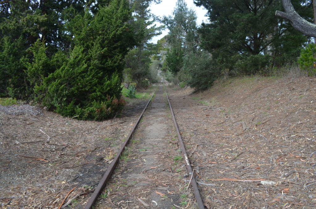 Image for display with article titled Explainer: Santa Cruz County’s rail trail ballot measure