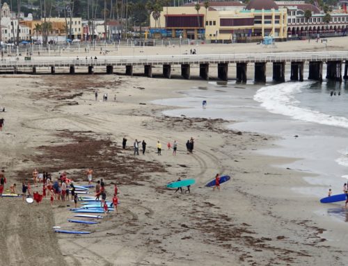 Santa Cruz council could tackle sales tax proposal, living wage