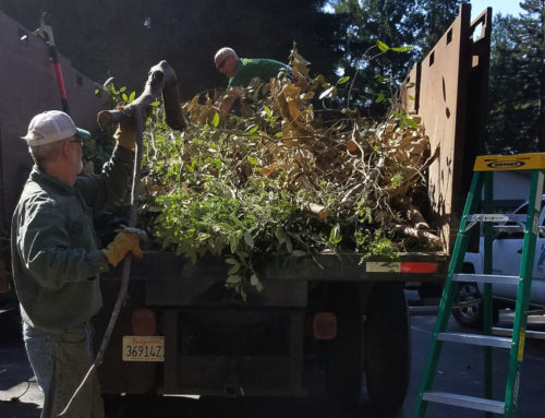 Wildfire preparation groups double in Santa Cruz County