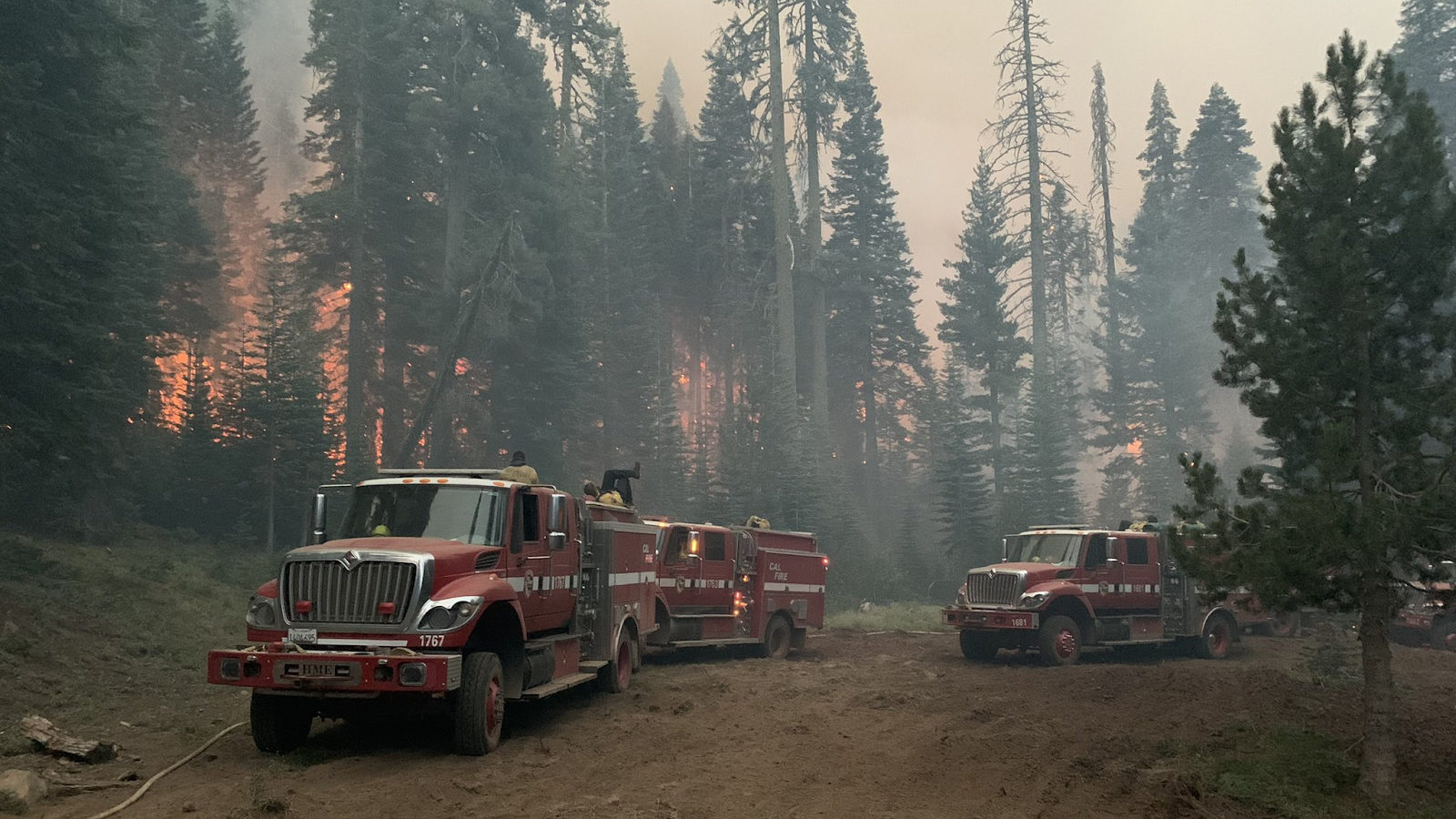 Winter storm debris poses future wildfire threat in Santa Cruz