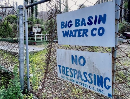 Water quality, rates could rise with Big Basin, San Lorenzo Valley Water merger
