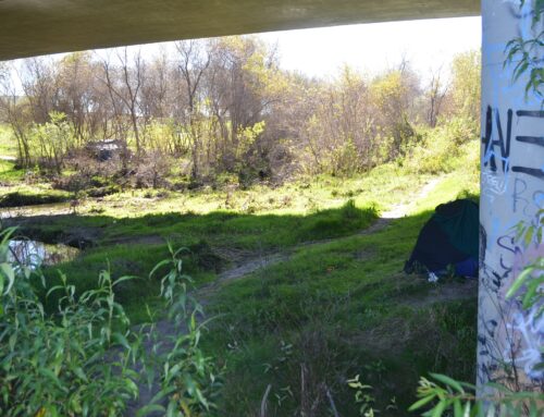 Homelessness dips in Santa Cruz, rises in Watsonville