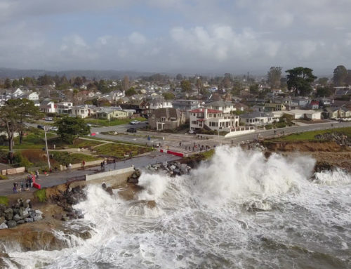 Input wanted on 50-year vision for West Cliff Drive in Santa Cruz