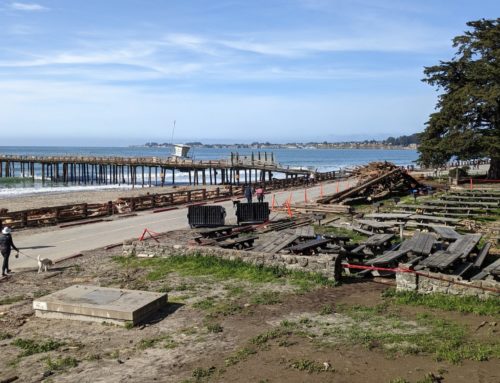 Storm cleanup continues at state parks in Santa Cruz County