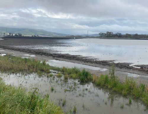Pajaro Valley prepares for natural disasters after mass flooding in 2023