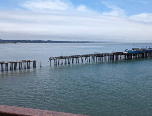 Capitola Wharf repairs, additions on tap