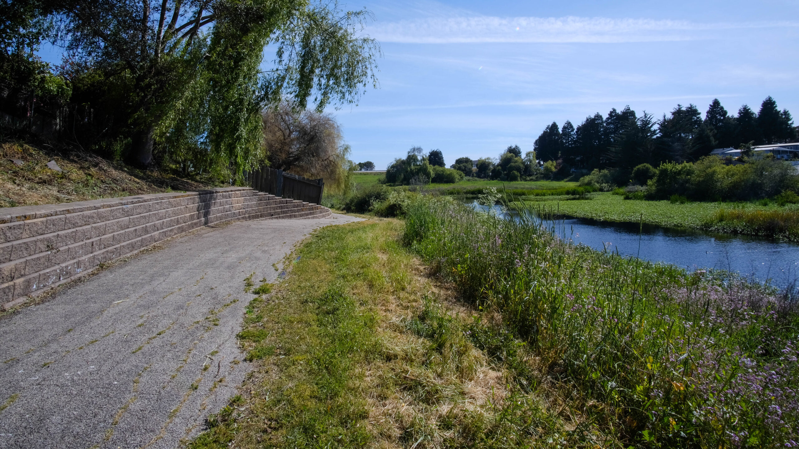 A paved trail runs along a short stone wall on its left and a grassy hill descends into the reeds and water of Struve Slough on the trail's right.