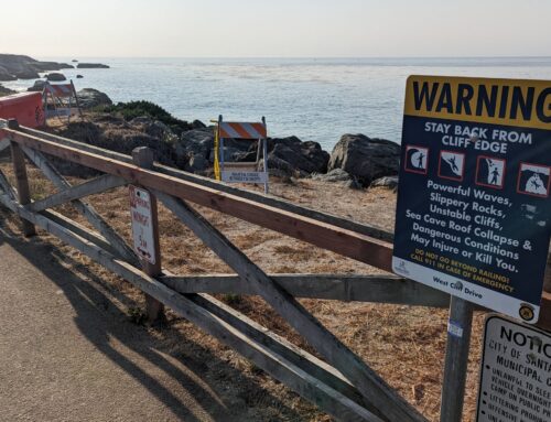 Amid West Cliff repairs, more diverse group wanted for coastal vision in Santa Cruz