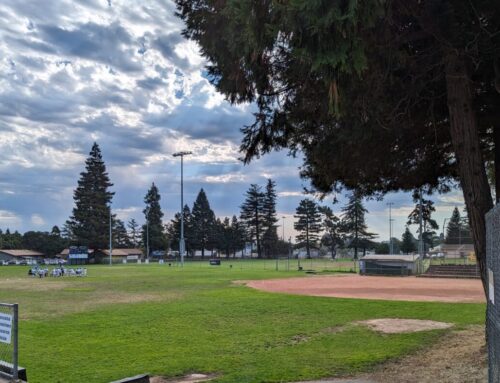 Harvey West Park upgrades to be discussed in Santa Cruz on April 2
