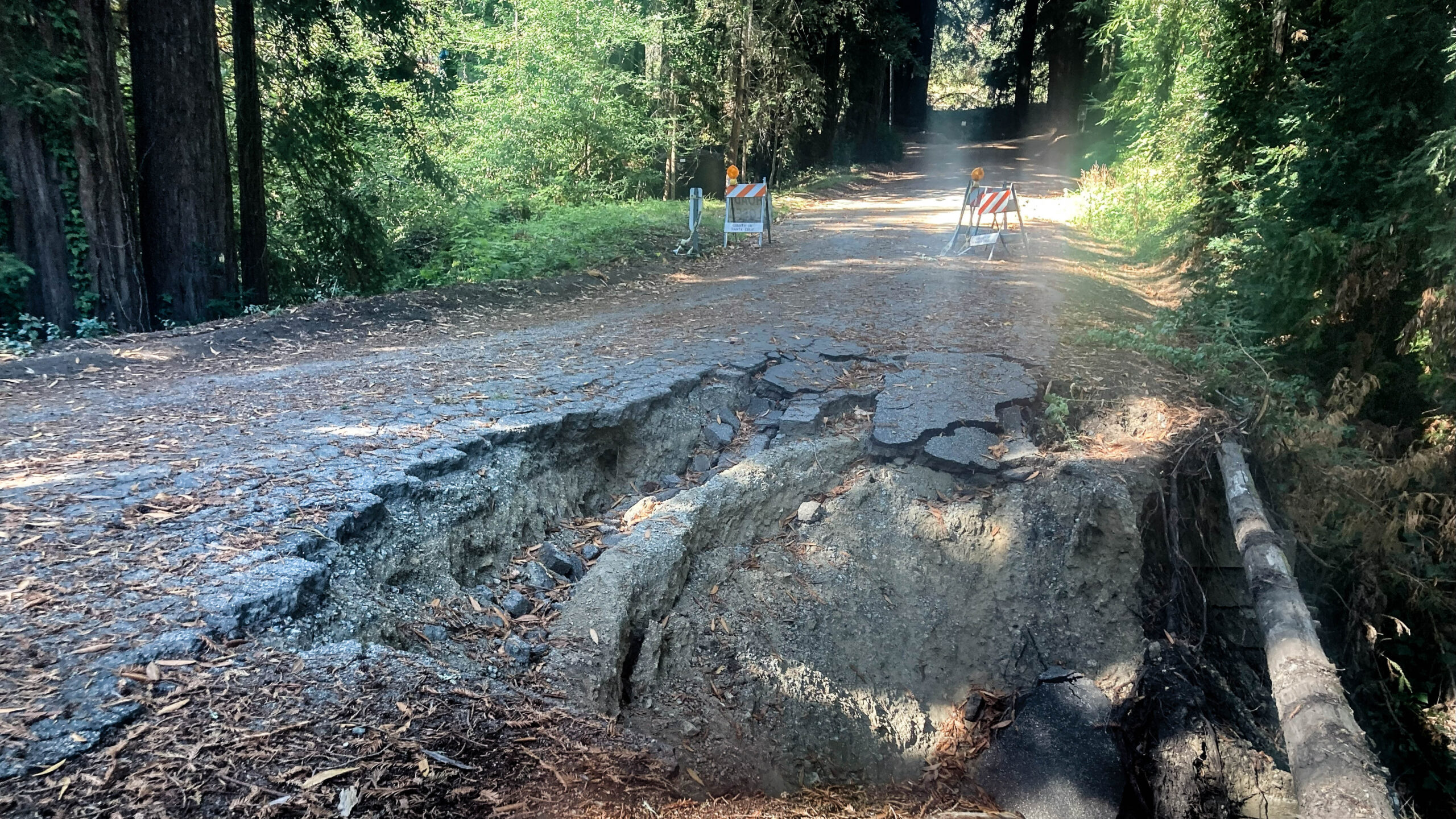 A portion of Stetson Road has collapsed. The road is littered with redwood duff leaves and a soft light shines through the trees.