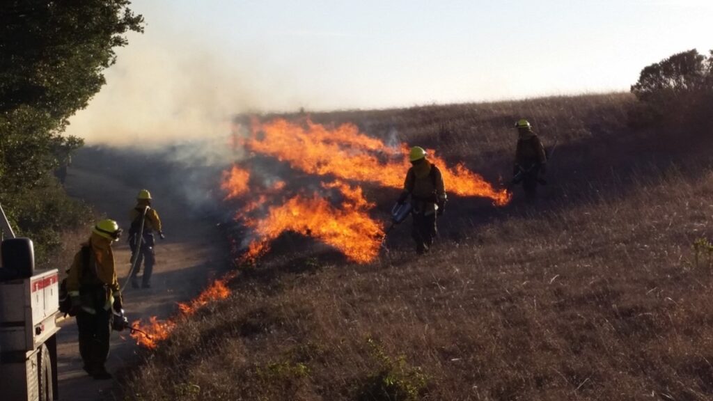 Image for display with article titled Controlled Burn Starts in San Mateo County, With More Planned for Santa Cruz County