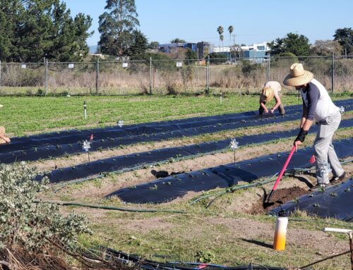 Homeless Garden Project aims to expand Shaffer Road farm in Santa Cruz