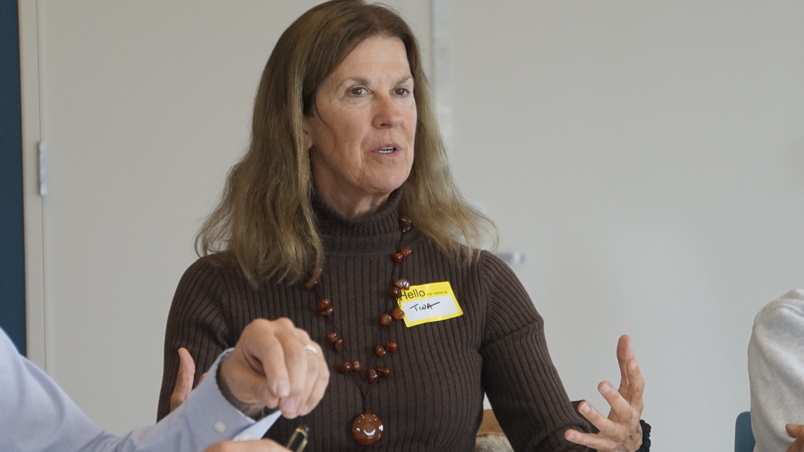 A woman with long brown hair speaks and gestures with her hands.