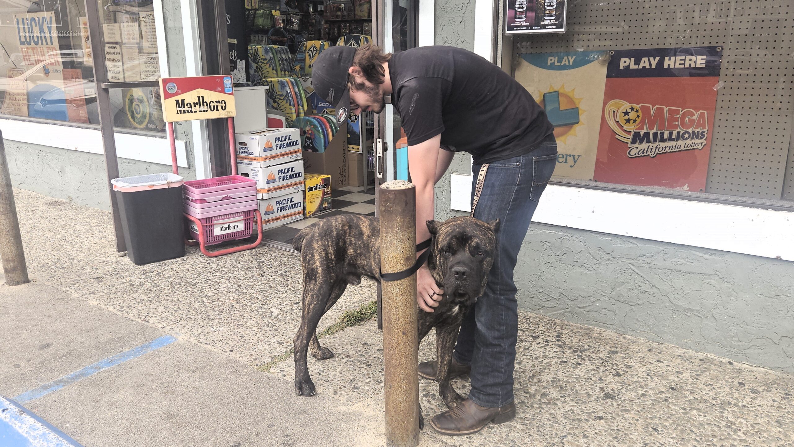 A man wearing a black shirt reaches down and pets a large brindle dog who's leash is wrapped around a pole outside of a store.