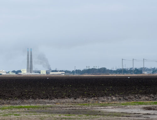 New soil tests start after Moss Landing battery fire