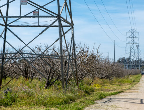 Lithium battery storage proposal near Watsonville faces hurdles