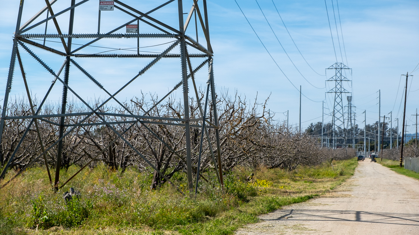 90-minto-road-bess-lithium-battery-altenberg-3-25-2025-2 A row of transmission towers runs from a PG&E substation through an apple orchard on Minto Road near Watsonville. A lithium battery facility is proposed for the site.