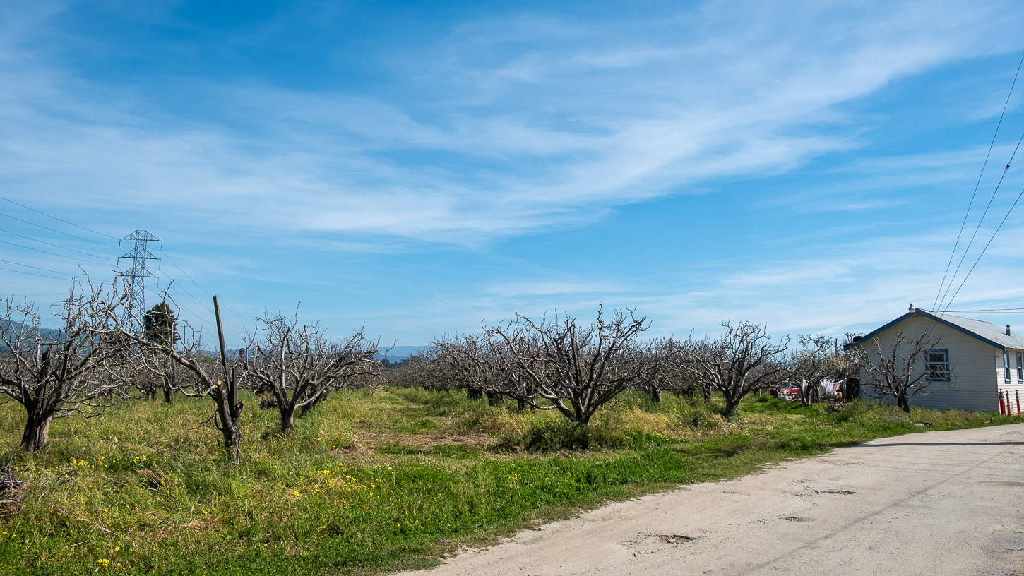 90-minto-road-bess-lithium-battery-altenberg-3-25-2025-4 Several small buildings including an occupied farmhouse are at 90 Minto Road outside Watsonville. A 14-acre lithium battery storage facility has been proposed on the site.