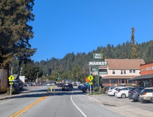 Report urges Felton Fire to consider taxing residents or dissolving