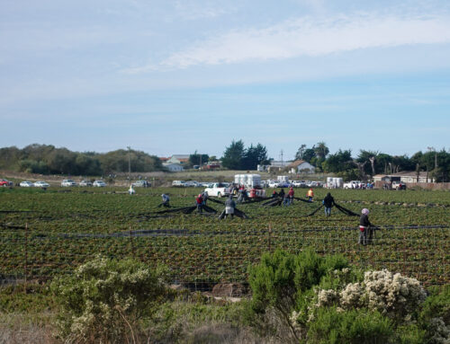 New pesticide alerts draw praise, criticism in Pajaro Valley