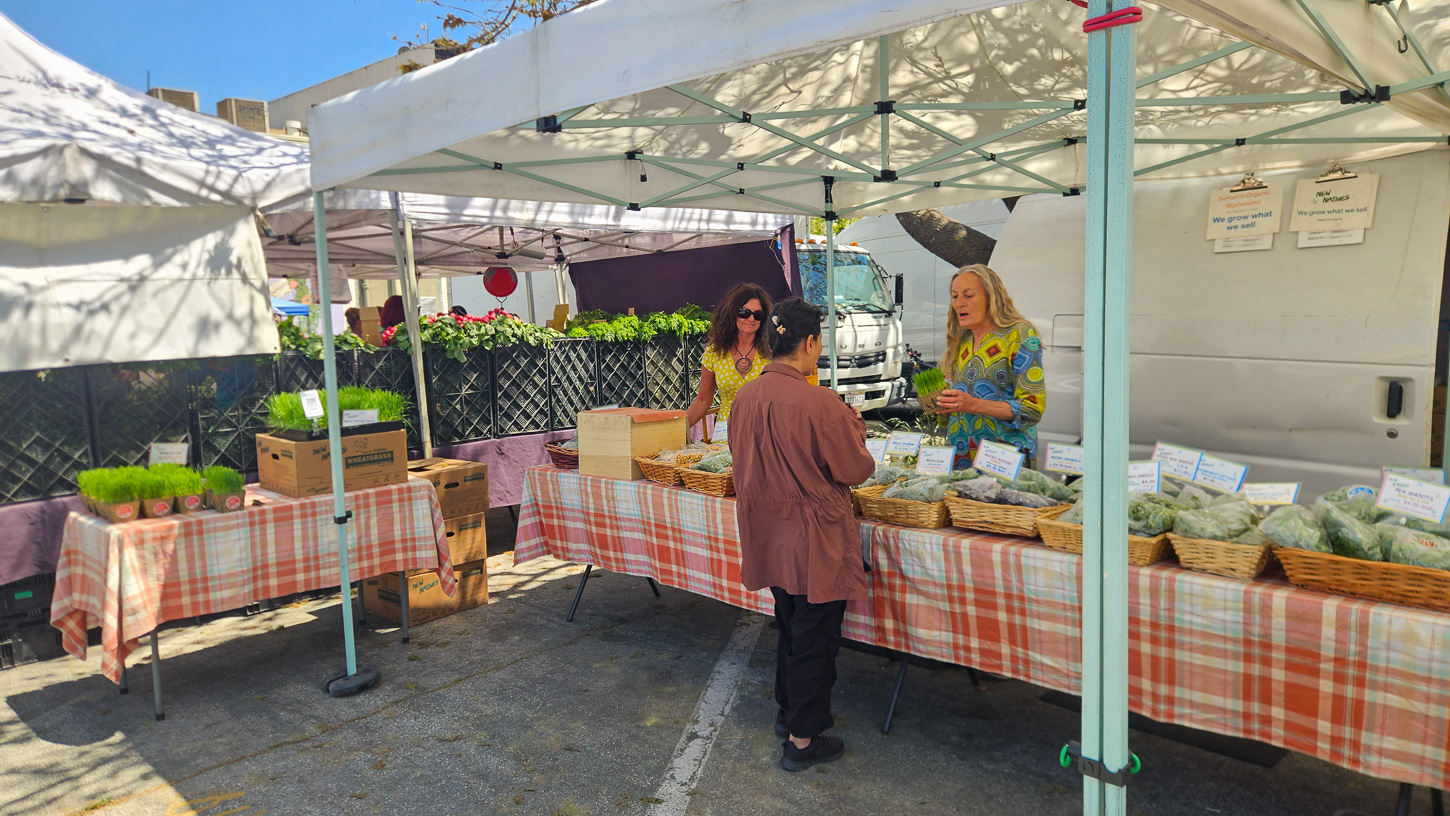 downtown-farmers-market-tyler-maldonado-may-7-2025-4 People shop at the Downtown Santa Cruz Farmers Market.