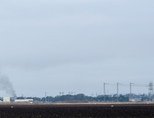 Moss Landing battery facility reignites 1.5 years after fire
