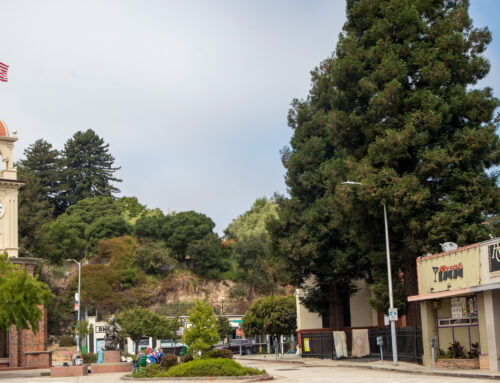 Santa Cruz developer cites Fifth Amendment in appeal of Clocktower apartment decision