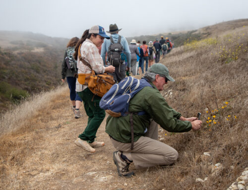 Cotoni-Coast Dairies trails set to open Saturday for hiking, biking