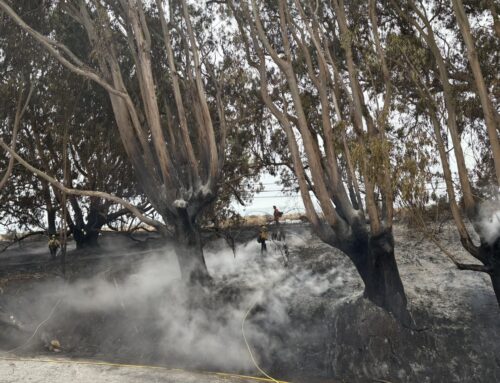 Fire near Davenport cement plant fully contained, expected to extinguish