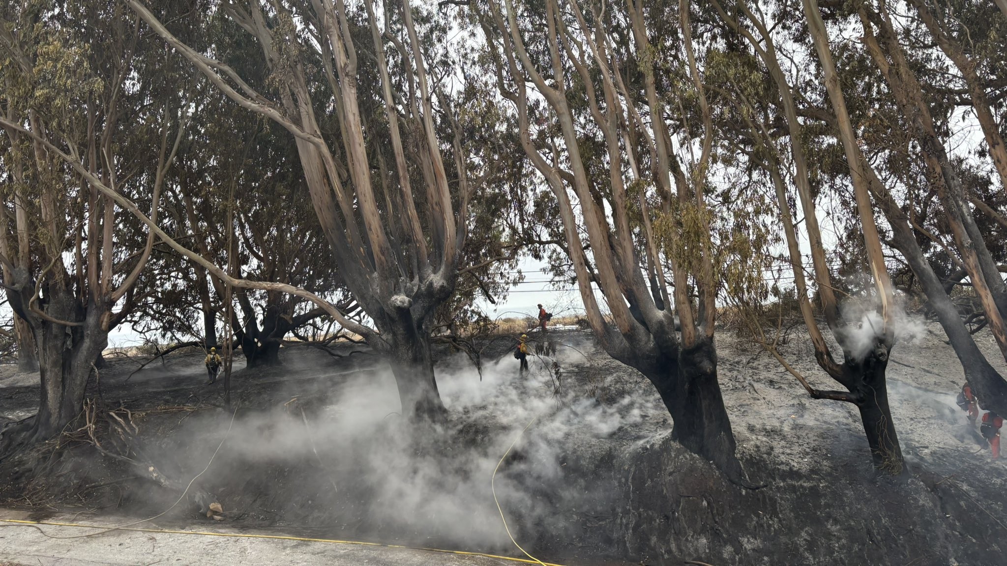 A fire near Davenport burned about two acres of grass and trees Sunday, and has not fully extinguished as of Monday afternoon. (Cal Fire)