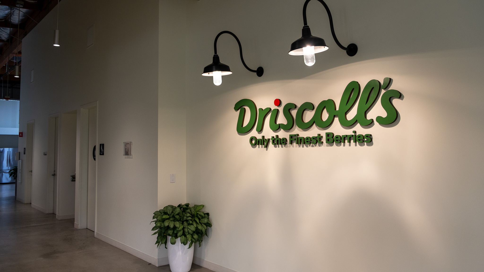 driscolls-pesticides-hunger-strike-watsonville-sept-2025-altenberg