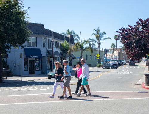 Learn more about Capitola politics and public safety
