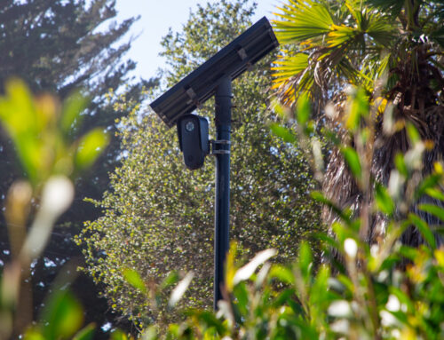 ICE accessed Capitola license plate data. Police say it was a mistake.