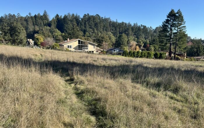 The 13.6-acre site of a potential co-housing development borders an existing neighborhood along Isbel Drive, near DeLaveaga Park. (Jesse Kathan — Santa Cruz Local)