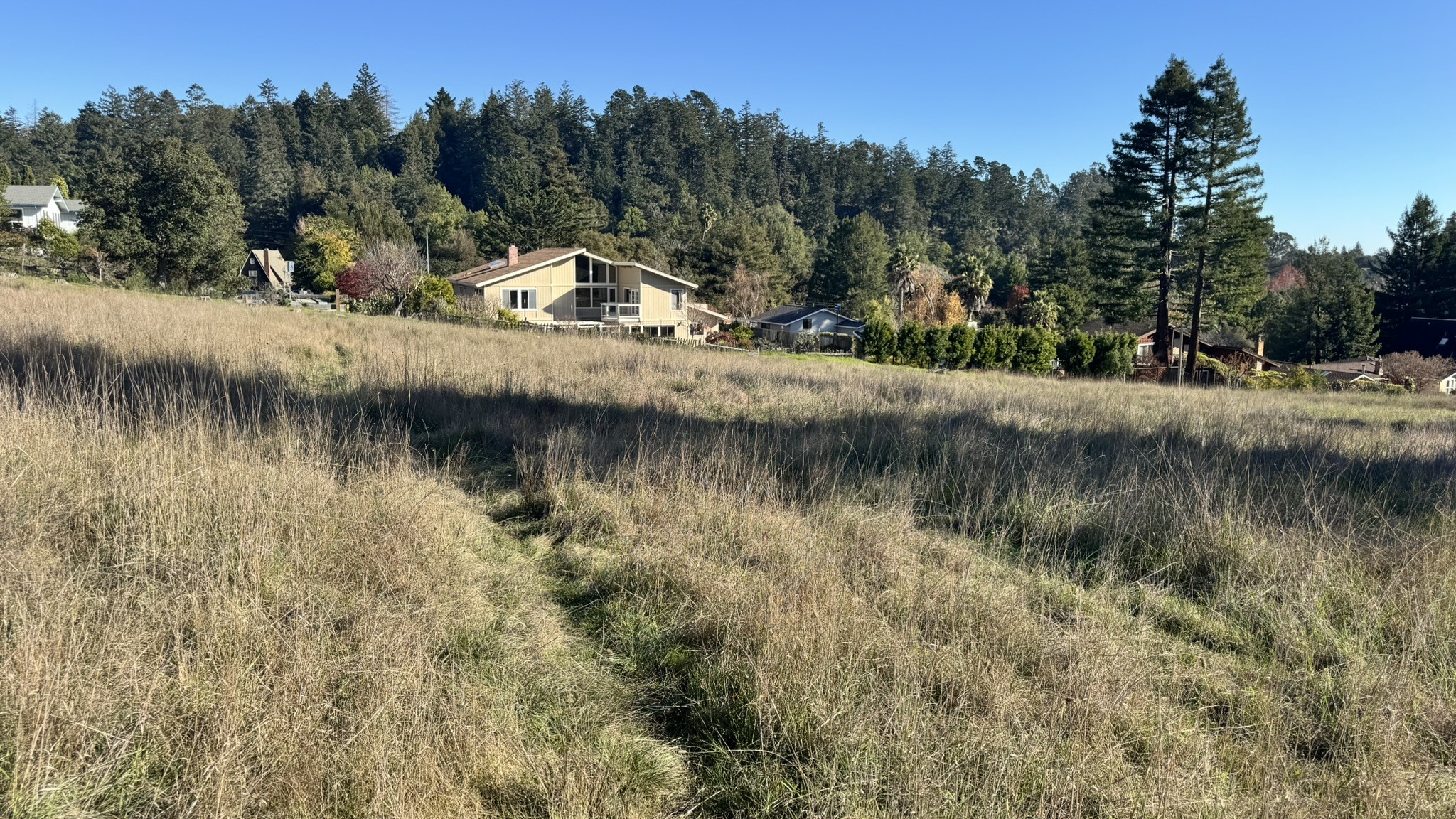 The 13.6-acre site of a potential co-housing development borders an existing neighborhood along Isbel Drive, near DeLaveaga Park. (Jesse Kathan — Santa Cruz Local)