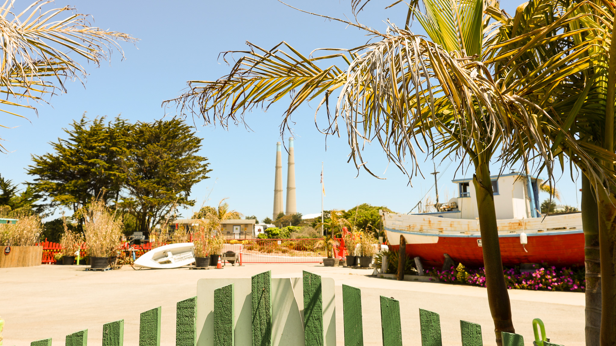 kim-solano-moss-landing-sana-dadani-2025-3