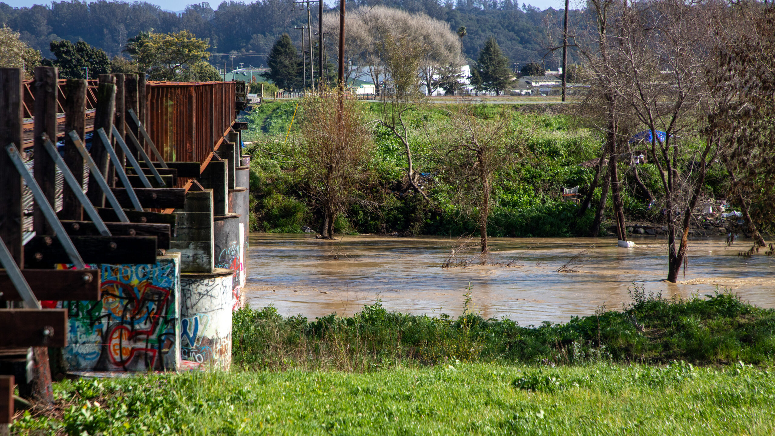 20260219_PajaroRiver_EDIT_-2