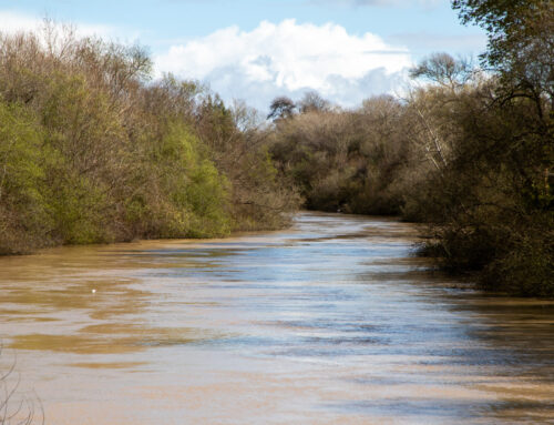 As rain continues in Santa Cruz County, how to check river water levels