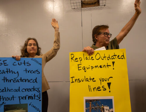 Santa Cruz Mountains residents clash with PG&E over tree cutting