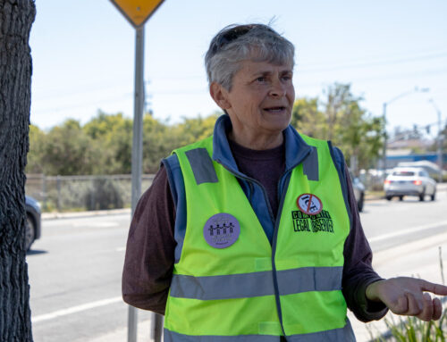 Local volunteers patrol schools for ICE agents. They need more help.
