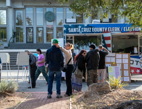 Over 100 seats across Santa Cruz County are up for election. Here’s why they matter.