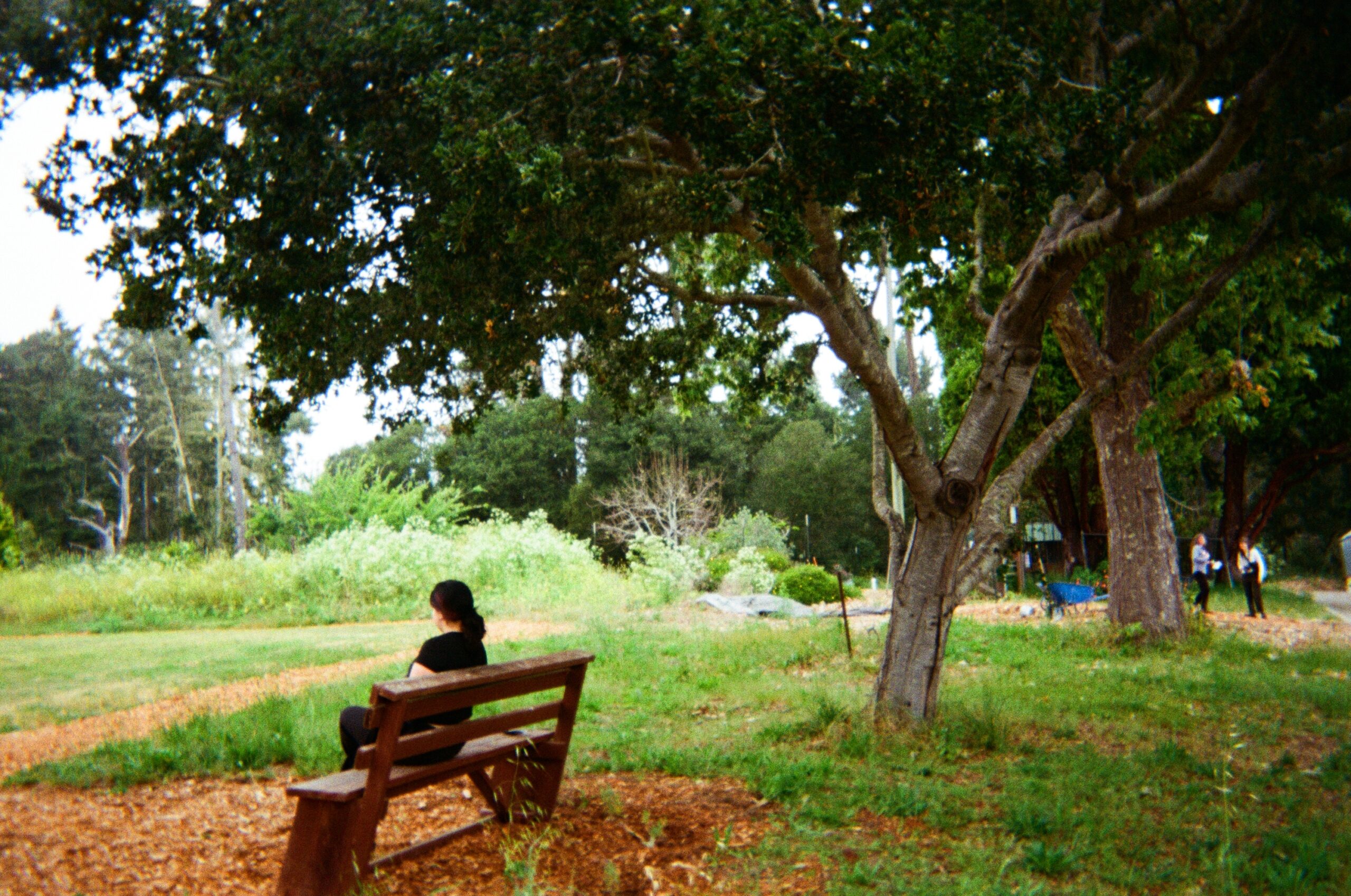 renaissance-high-student-photo-project-17