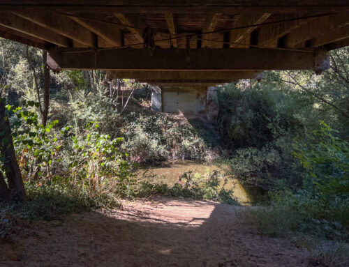 San Lorenzo Valley residents prepare for impacts from El Niño