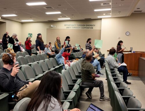 Watsonville City Council approves new restrictions on Flock cameras